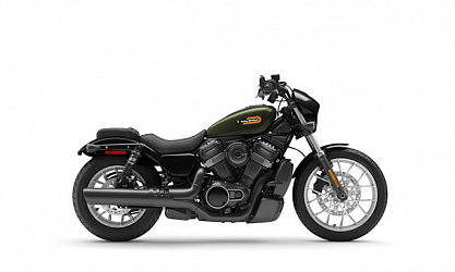 Nightster Special